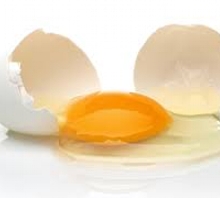 Tilki, Lema ve Yumurta | Aptallığıma Verin 2010: Türkiye Hikayeleri Tilki, Lema ve Yumurta | Aptallığıma Verin 2010: Türkiye Hikayeleri