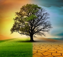 İklim Değişikliği: Etkiler ve Uyum Stratejileri İklim Değişikliği: Etkiler ve Uyum Stratejileri