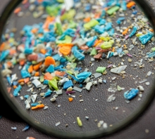 Mikroplastik ve Nanoplastik Kirliliği: Kaynaklar ve Etkiler Mikroplastik ve Nanoplastik Kirliliği: Kaynaklar ve Etkiler