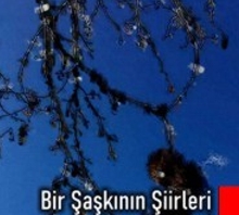Bir Şaşkının Şiirleri Bir Şaşkının Şiirleri